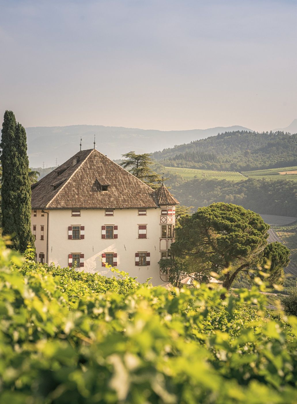 Residenza storica tra i vigneti di Elena Walch, con le colline dell'Alto Adige sullo sfondo