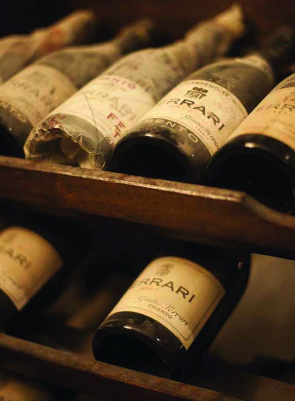 Bottiglie storiche di Ferrari Trentodoc a riposo nella cantina