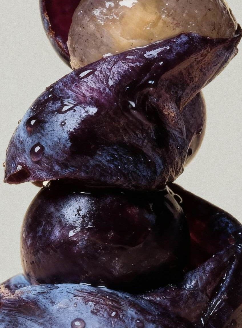 Frutti scuri dai riflessi violacei, immagine evocativa dei rossi salentini di Paololeo
