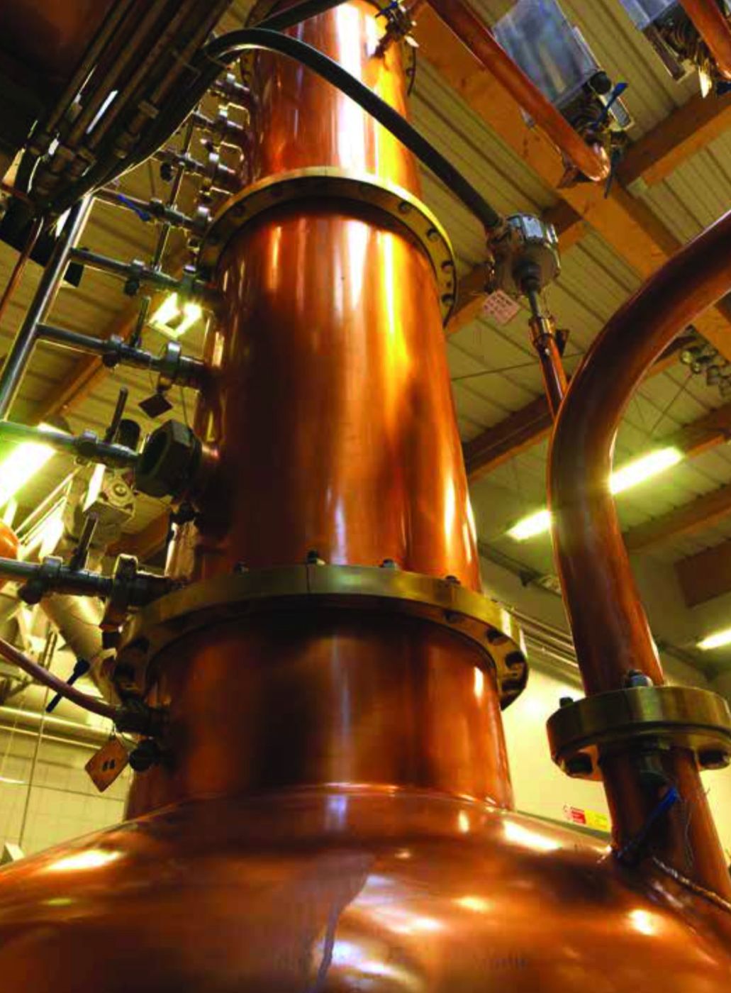 Alambicco in rame della distilleria Segnana