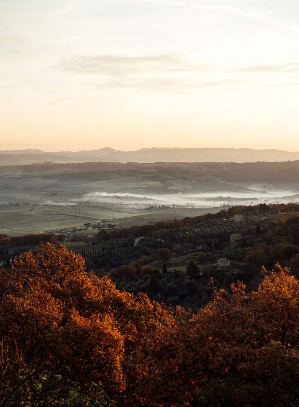 Colline di Montalcino avvolte dalla nebbia al tramonto, terra del Brunello di Val di Suga